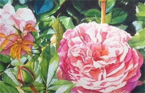 2025年07月24日(农历六月三十)动土可不可以？ 这日子动土建房好吗