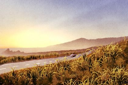 2025年08月06日(农历闰六月十三)提车能算好日子吗 今天买新车怎么样? 2025年08月06日(农历闰六月十三)提车能算好日子吗 今天买新车怎么样?