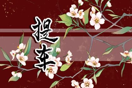 2025年08月06日提车行不行 今天买新车合不合适？