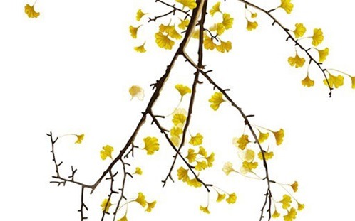 2025年08月20日(农历闰六月廿七)装修合适吗？ 适合装修开工吗？