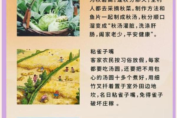 秋分时节，天文变化与秋季农耕要点