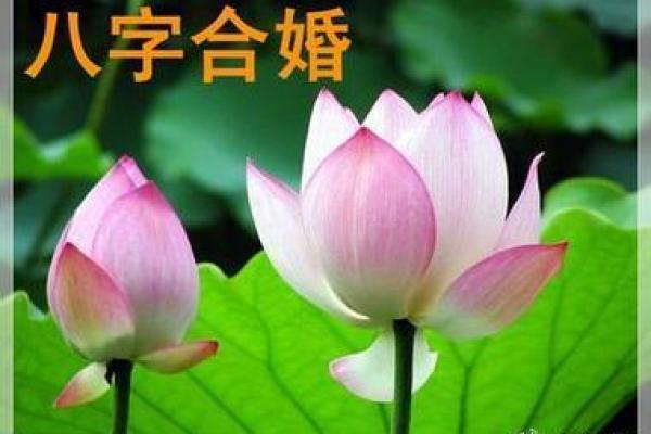 生辰八字合婚必看，如何通过八字找到真正的缘分？