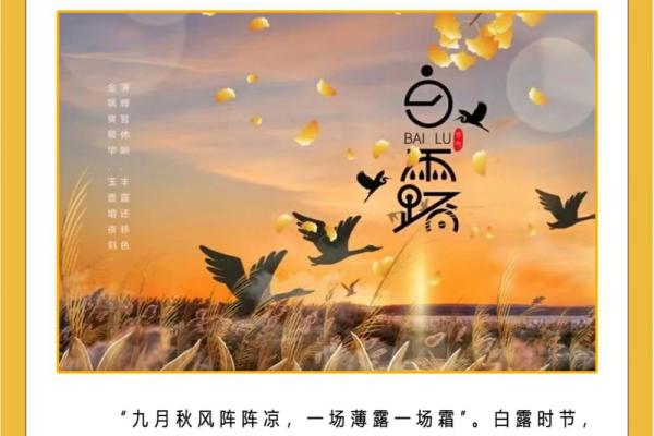 九月白露：天文变化与养生指南
