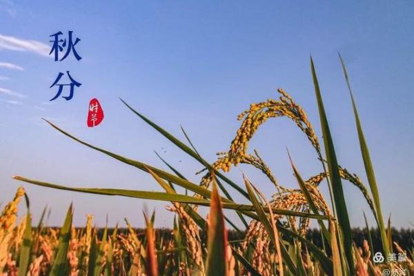秋分假期，感受农耕文化的节令变化