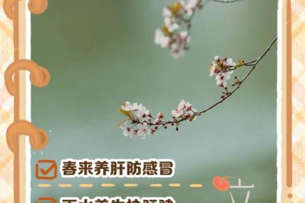 三月春分：探寻古老农耕节气背后的养生智慧