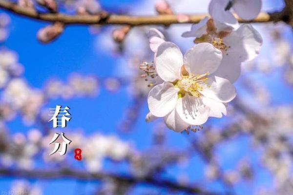 三月春分：探寻古老农耕节气背后的养生智慧