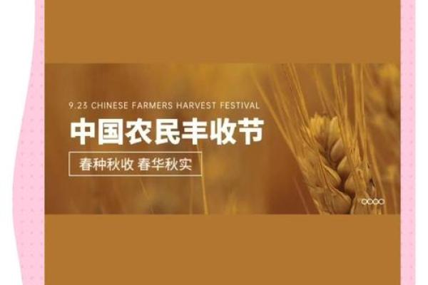 法国传统丰收节：庆祝农业丰收与社区团结