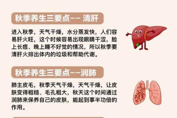 十月节庆与养生：秋季调养的传统智慧
