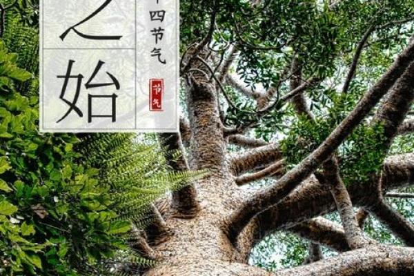 立春节令的农耕启示与文化象征