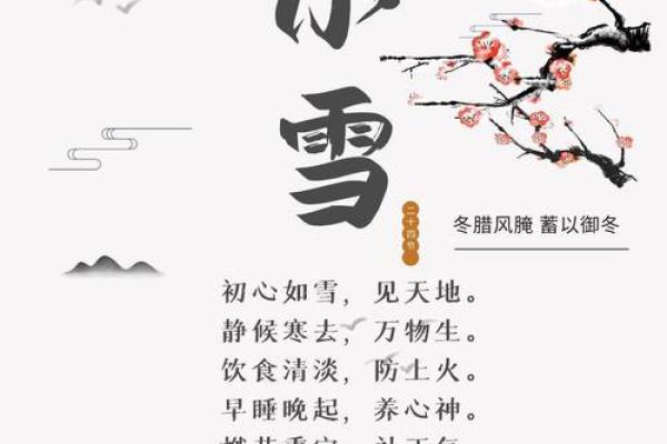 十一月的天文与节令：小雪节气与自然变化的关系