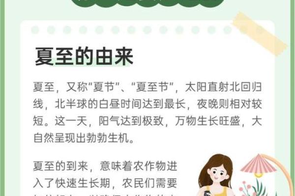 夏至节气：如何通过养生食谱应对炎热夏季