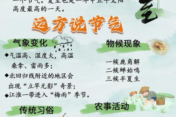 夏至节气：如何通过养生食谱应对炎热夏季