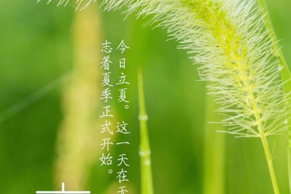 立夏节气的天文变化与古人如何利用