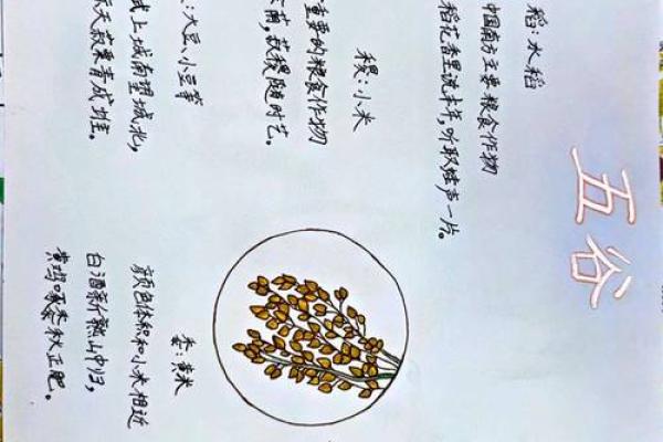 秋收节与农耕文化的深厚联系