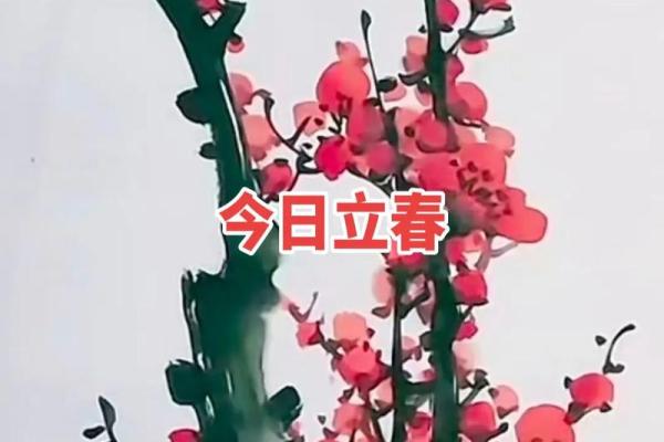立春对联：春回大地万物新，耕耘播种福满门