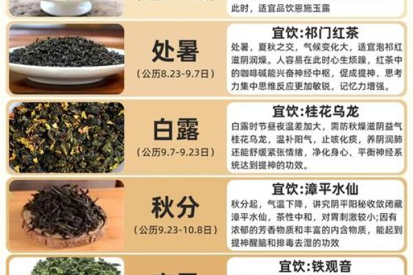 养生与节日：节气变化如何影响身体健康