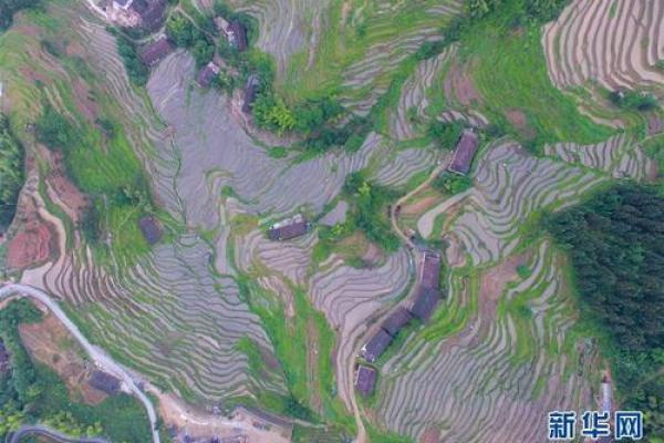 探索韩国农耕节日与四季变换的联系