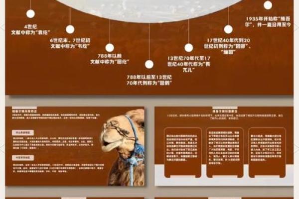 维吾尔族传统节日文化与习俗探秘