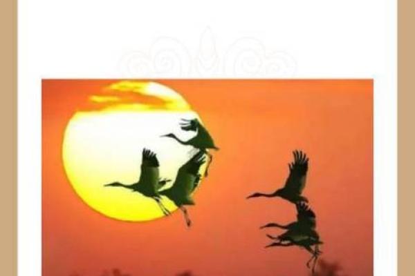嫦娥节日背后的养生智慧与习俗传承