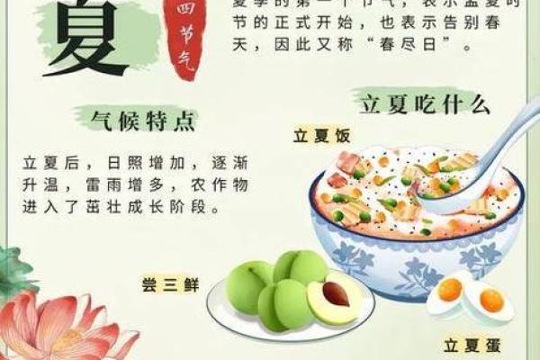 立夏与节气变化：适合的食物与养生法