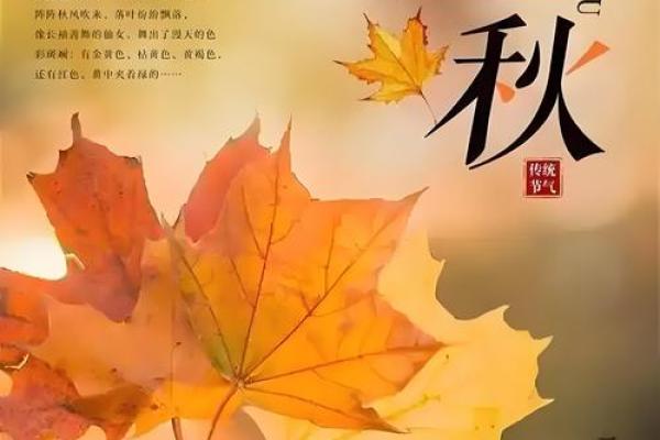 秋天的养生节令与天文活动