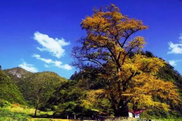 天文与农耕相融的非洲节日庆典 天文与农耕相融的非洲节日庆典