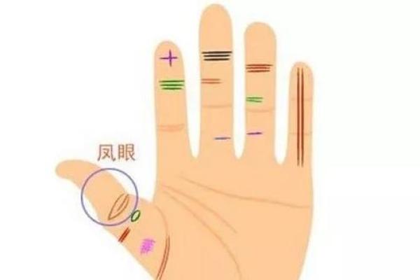 解析胡的生辰八字：命运为何不同？能改运吗？合婚该怎么看