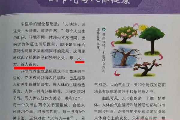 日大全：养生与节气相融合的健康生活方式