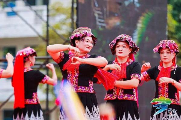 黎族传统节日与养生之道：在节庆中寻找身心的平衡