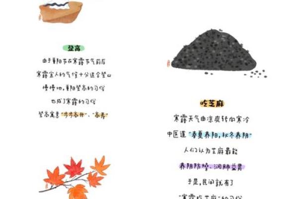 寒露诗情：农耕季节与秋韵诗意的融合