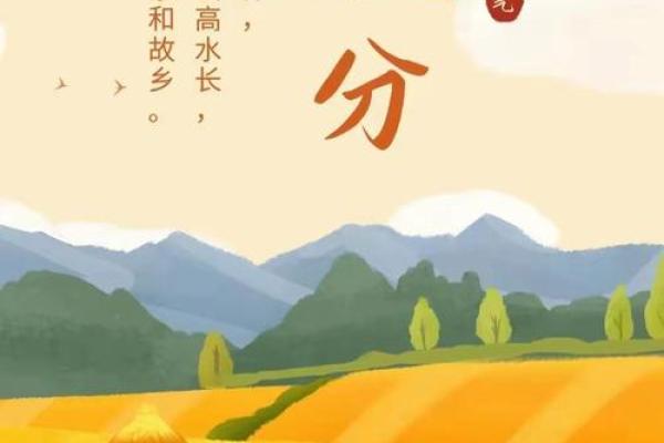 秋收节气，农耕智慧助力丰收的秘诀