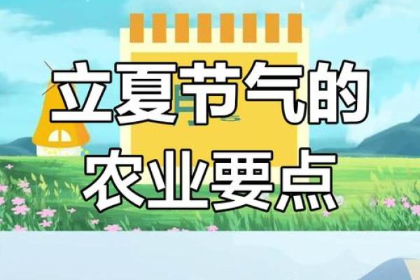 立夏节：夏季养生与农耕文化的融合
