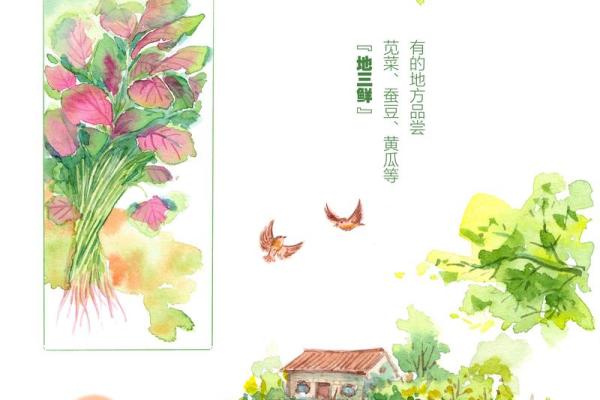 立夏时节的生活艺术：如何调适节令变化带来的影响