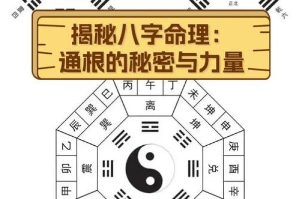 暗藏玄机的八字命理，如何破解生命的密码