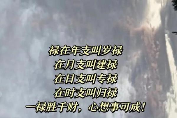 揭开命运密码，八字命理中的暗藏玄机
