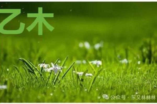 乙木生亥月的命理误区：你可能错过的改变命运的关键
