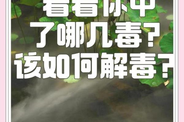 端午节的五毒驱赶与天文节气的关系