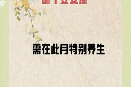 端午节的五毒驱赶与天文节气的关系