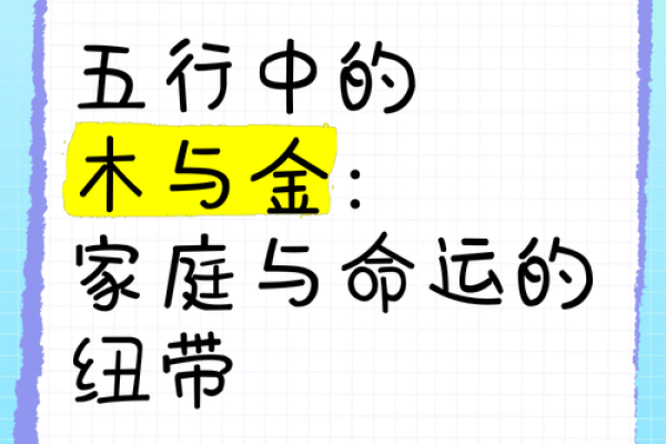 杭州纵火案件中的命运玄机，揭开命理背后的秘密