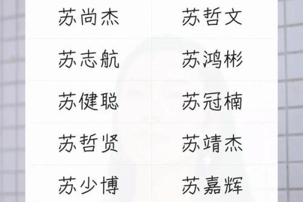 男孩生辰八字取名全解析：合婚要看什么？能否改运？