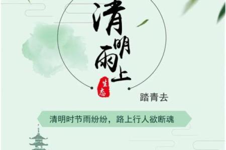 清明节：清明时节的养生秘诀与习俗传承