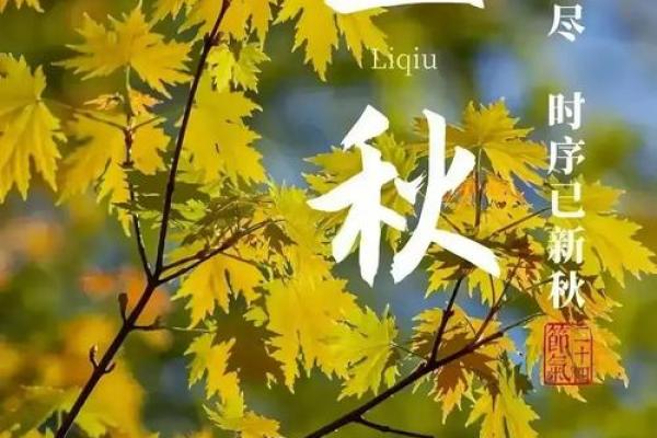 文化传承：从传统节日看立秋的民俗风情