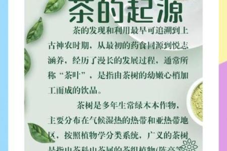 傈僳族的茶文化节：走进傈僳族的茶文化与养生智慧