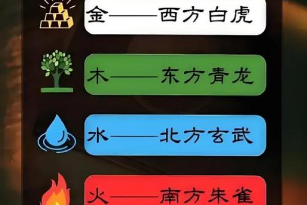 生辰八字木多能改运吗？详细解析五行失衡的调理方法