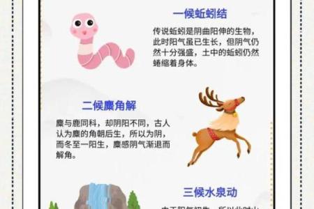 锡伯族冬至节：天文与养生的神秘联系