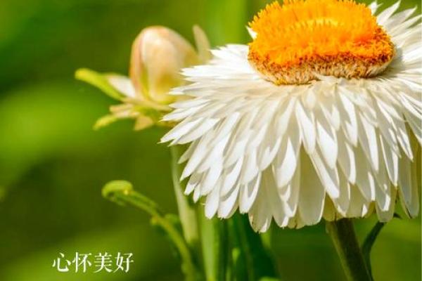 玄真阴阳命理中的误区：反而改变命运的关键所在