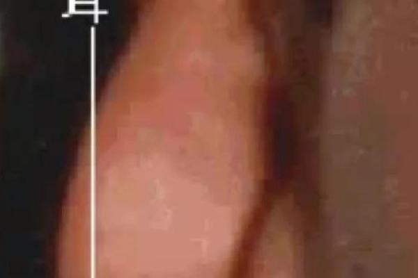 误区与真相：丁亮命理教材揭示你命运密码背后的隐秘力量