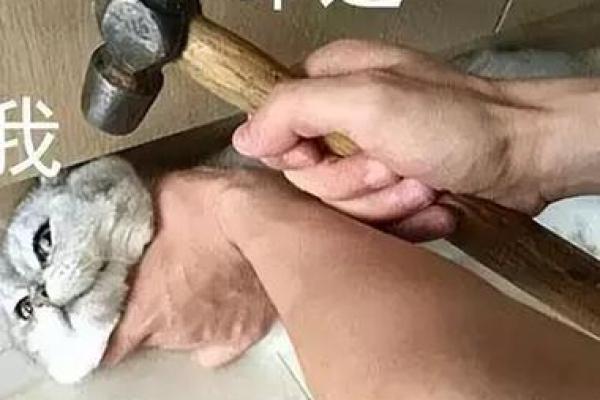 误区与真相：丁亮命理教材揭示你命运密码背后的隐秘力量