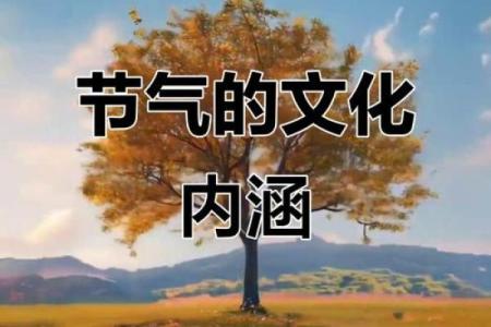 十一月节气：深秋的农耕节令与丰收的文化意义