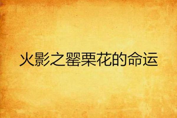 你的命运密码暗藏玄机，如何破解八字中的命运之锁？